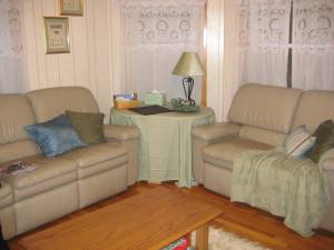 Throw pillows are more expensive than I would've guessed, even at Target.