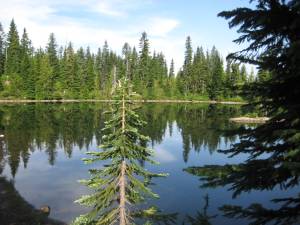 Golden Lakes (not pictured: swarms of mosquitos)