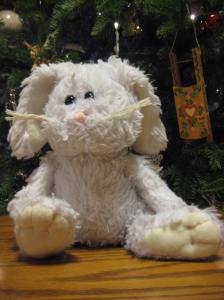 Robby in front of the Christmas tree