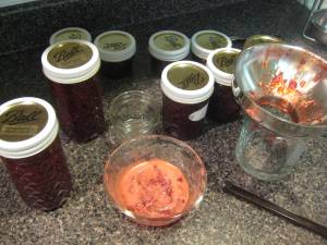 The aftermath of my canning