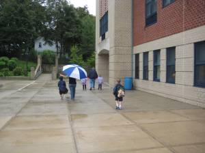 Can you spot the Grey?