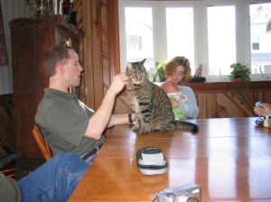 Justice was always in on the action