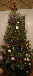 This year's tree. Thane really wanted colored lights.