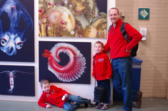 Modern: photographic interpretation