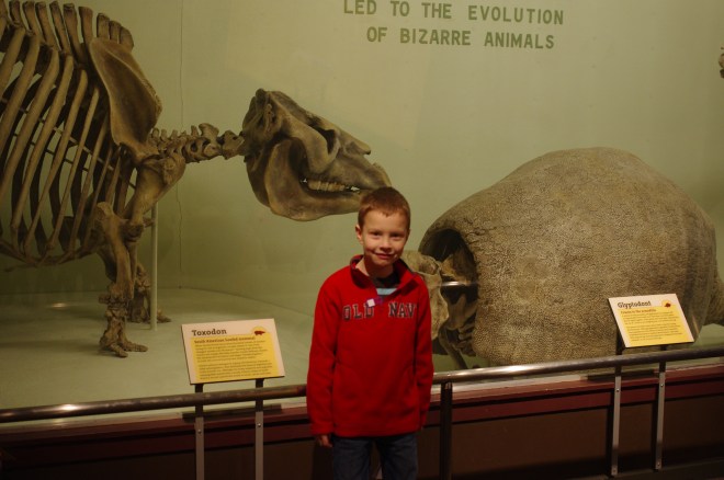 Dinosaurs and bizarre creatures