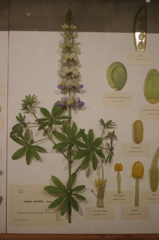 These are made from GLASS.