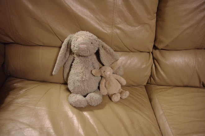 Thane does know about Baby Puppy