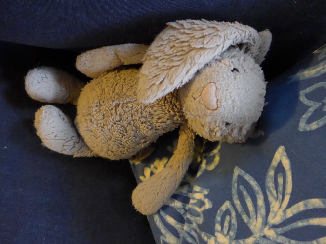 Mr. Puppy in very low light