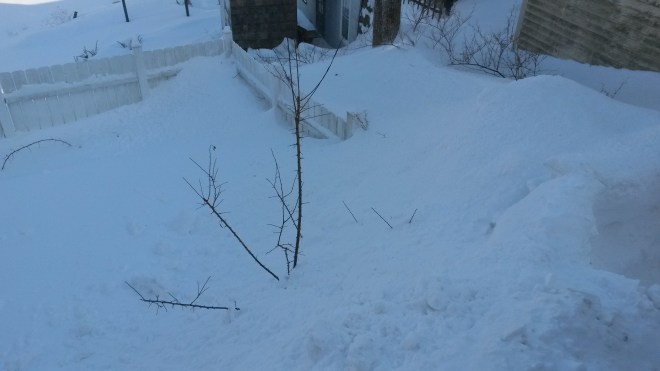 That fence below is a 7 foot fence. That snow bank is more than 12 feet tall. Granted, that's where we blow the snow, but still...