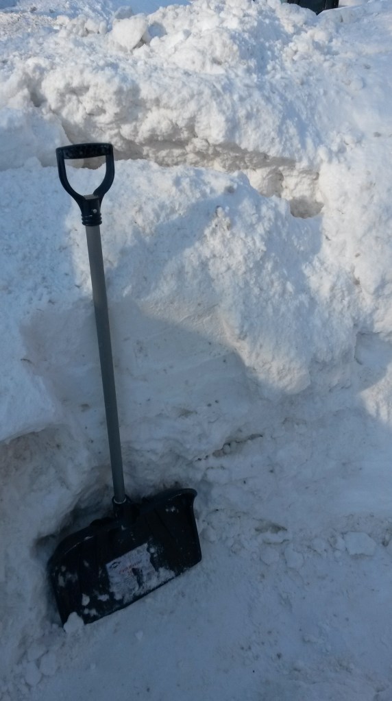 Our front walk way has a fault line. Considering teaching the children avalanche safety.
