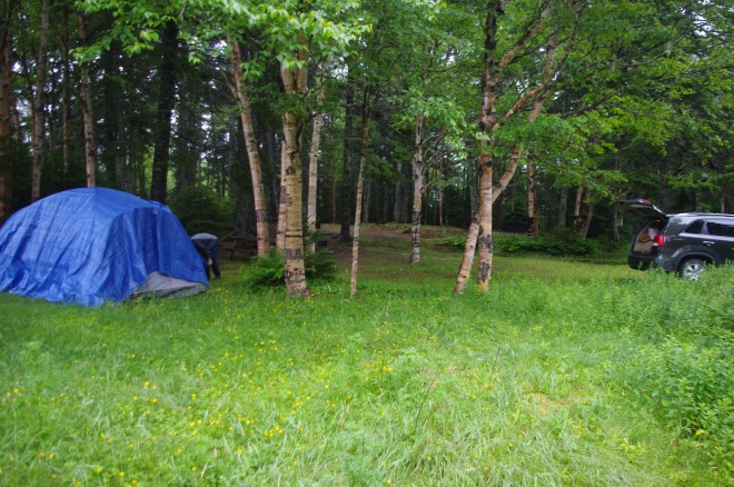 It wasn't bad when we were by ourselves, but a bit crowded when four other families were there.