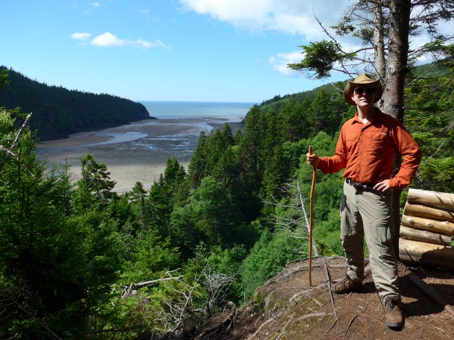 Point Wolfe, at near low tide