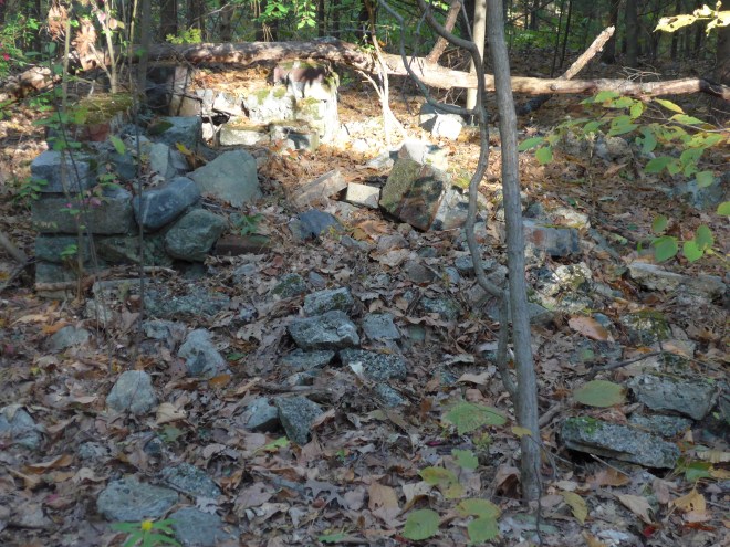 Ruins in the Fells in Stoneham - this might well be the house where Jacob Gould was barbarously murdered.