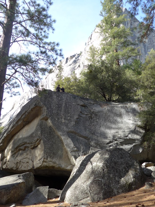 Can you spot the uncle and brother in this picture?