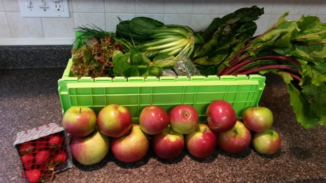A week's worth of farm share fun