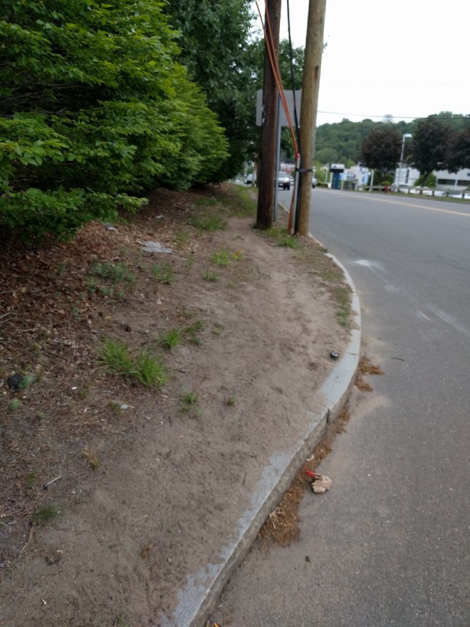 Notice that people do walk this, regularly