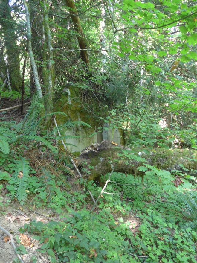 The ruins near the river, where I used to adventure.