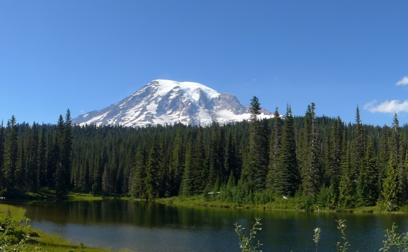 The prophet John&nbsp;Muir