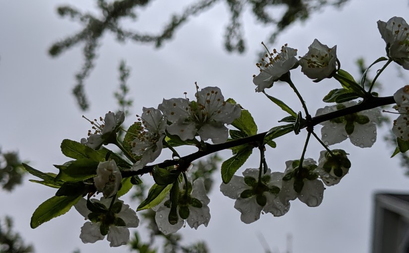 Though much is taken, much&nbsp;abides