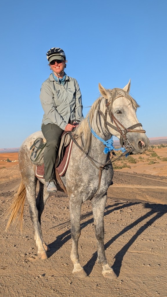 A woman in green pants and a green shirt on a white horse in a red desert