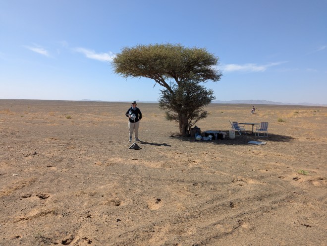 A woman standing under a lone acacia tree. In the shade of the tree, a table has been set.